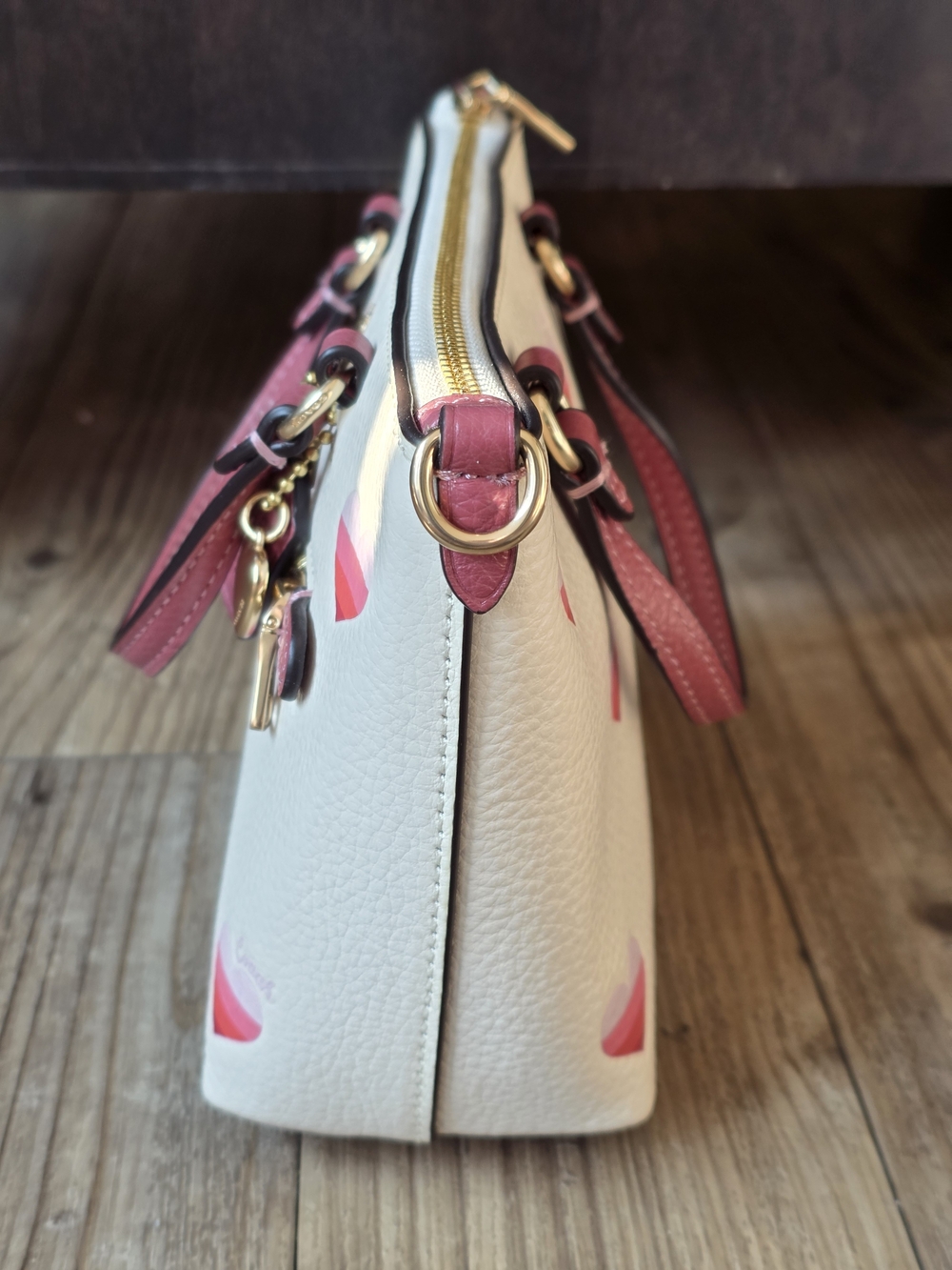 Coach Mini Gallery Crossbody with Stripe Heart Print - Picture 4 of 10